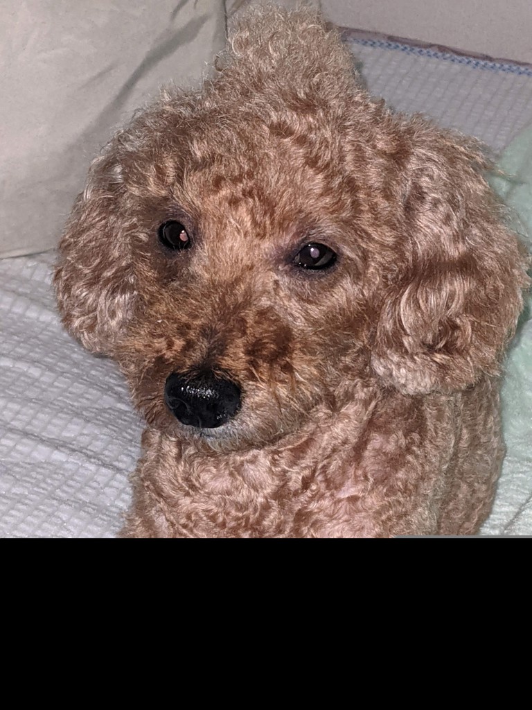 投稿写真