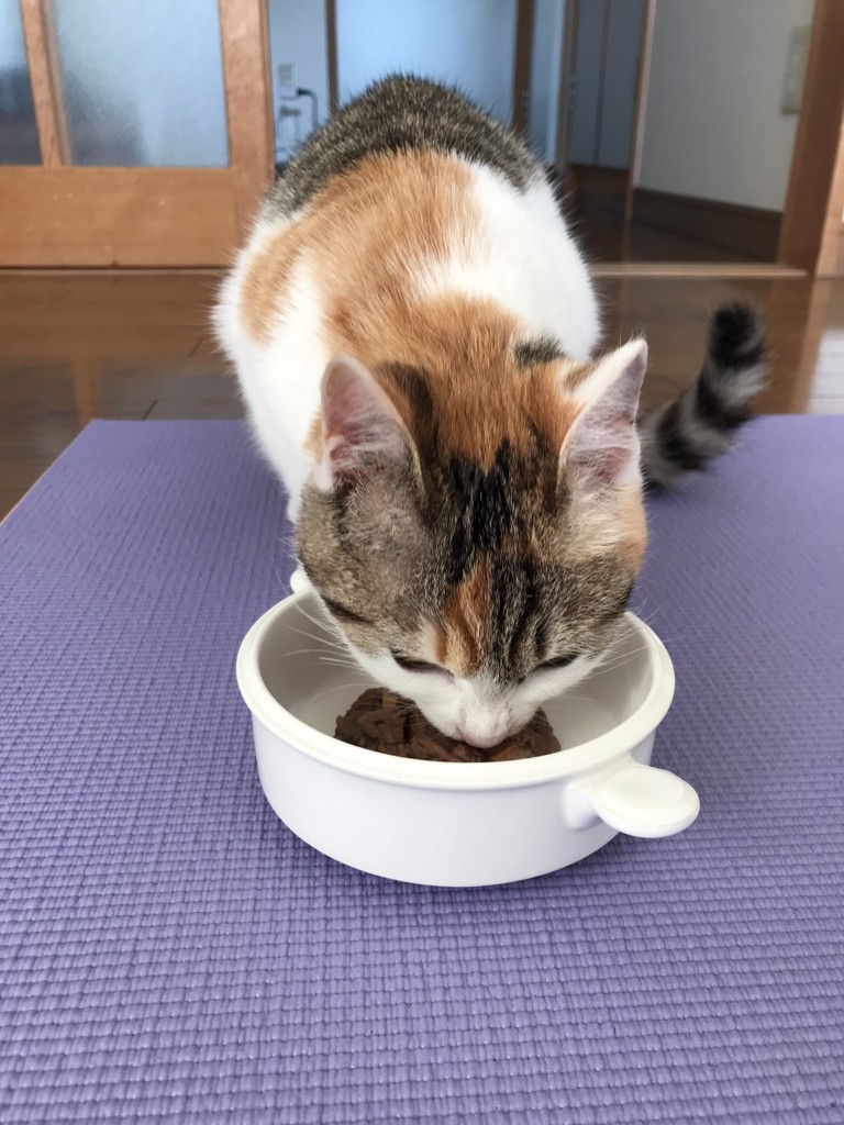 ユーザー写真