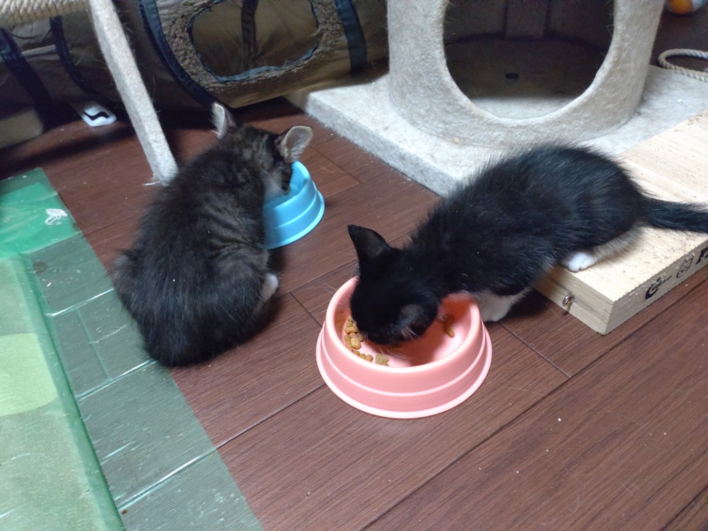 ユーザー写真