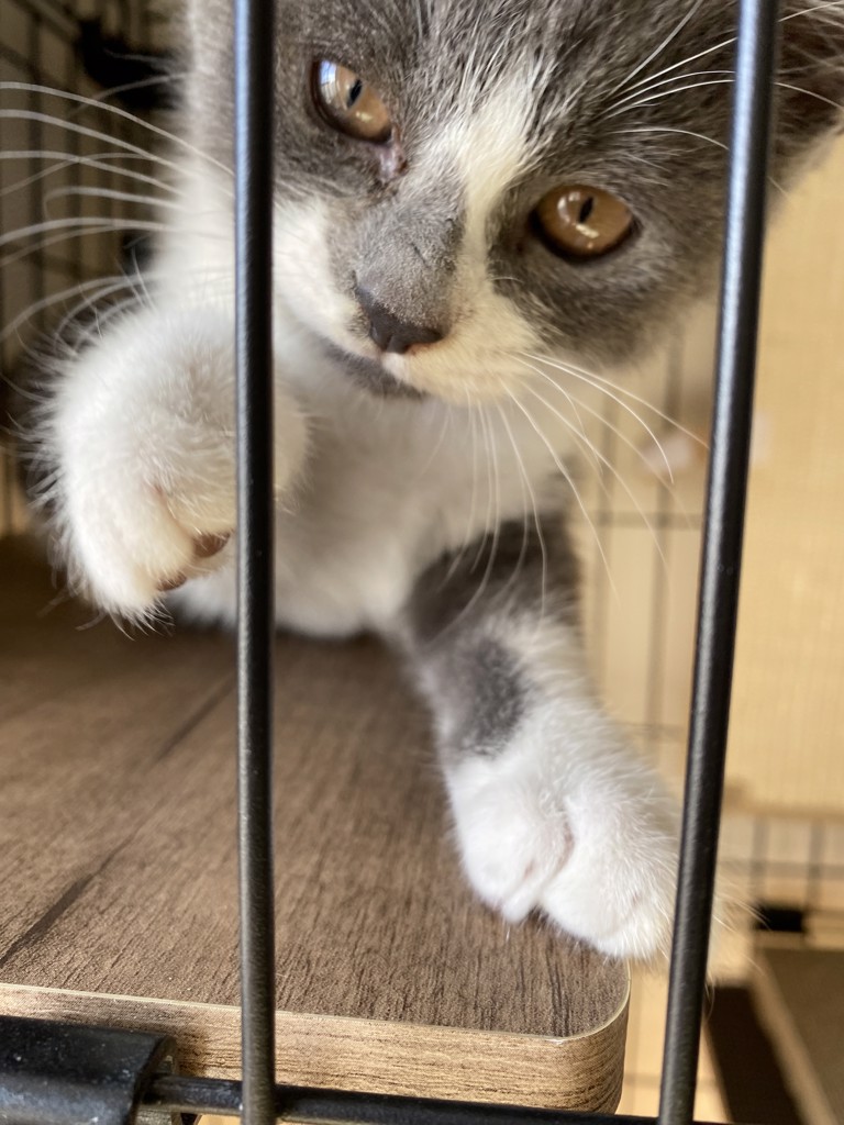 ユーザー写真