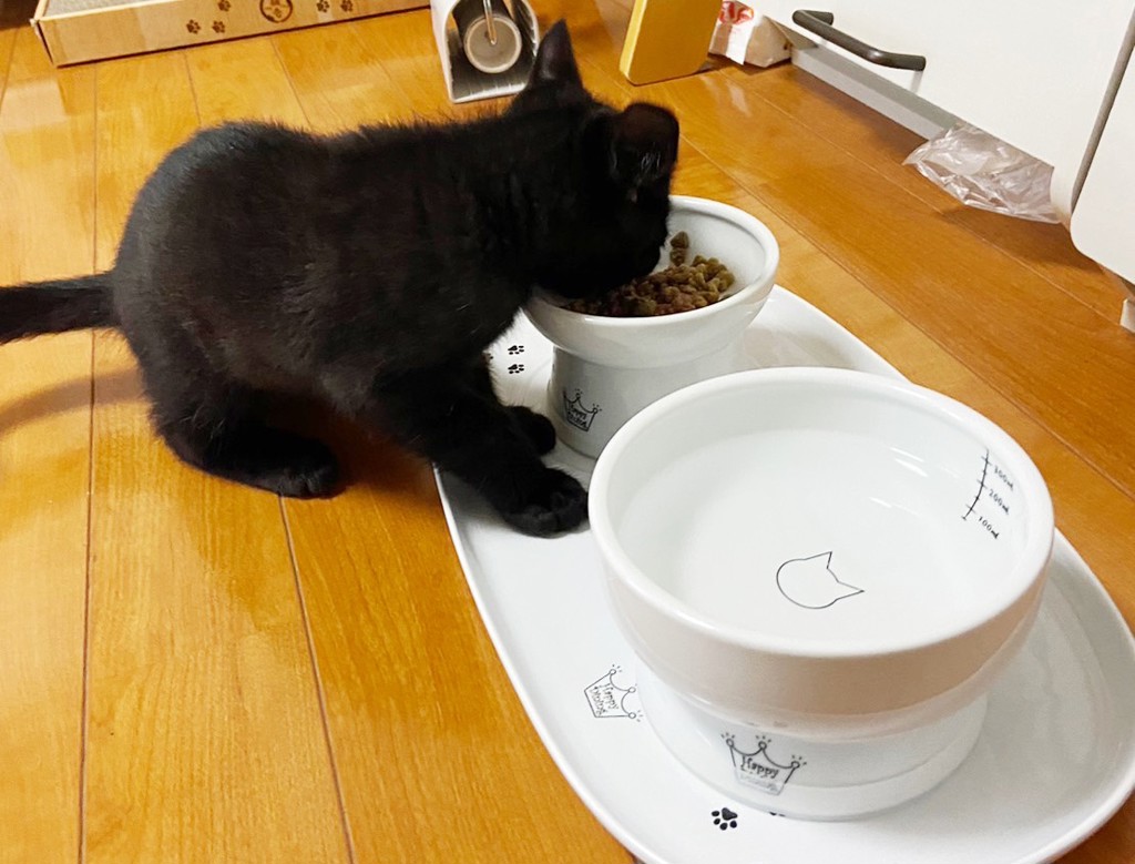 ユーザー写真