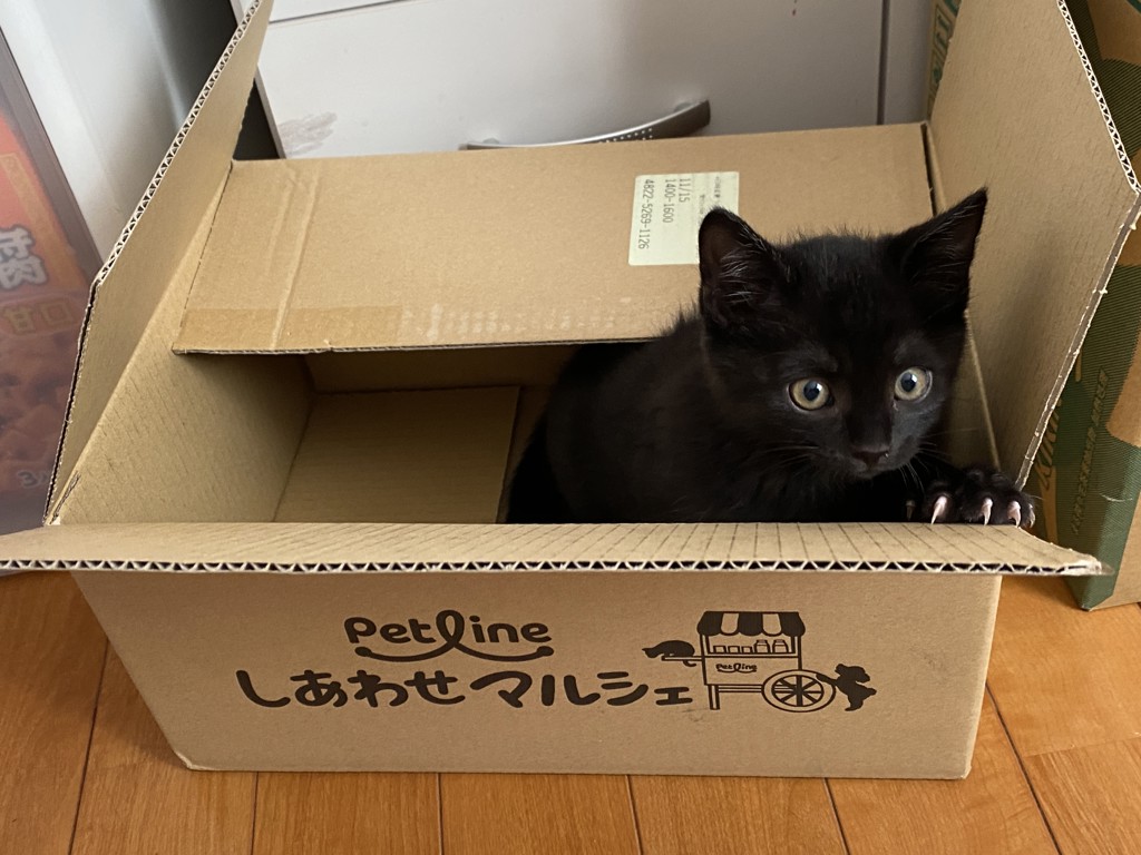 ユーザー写真
