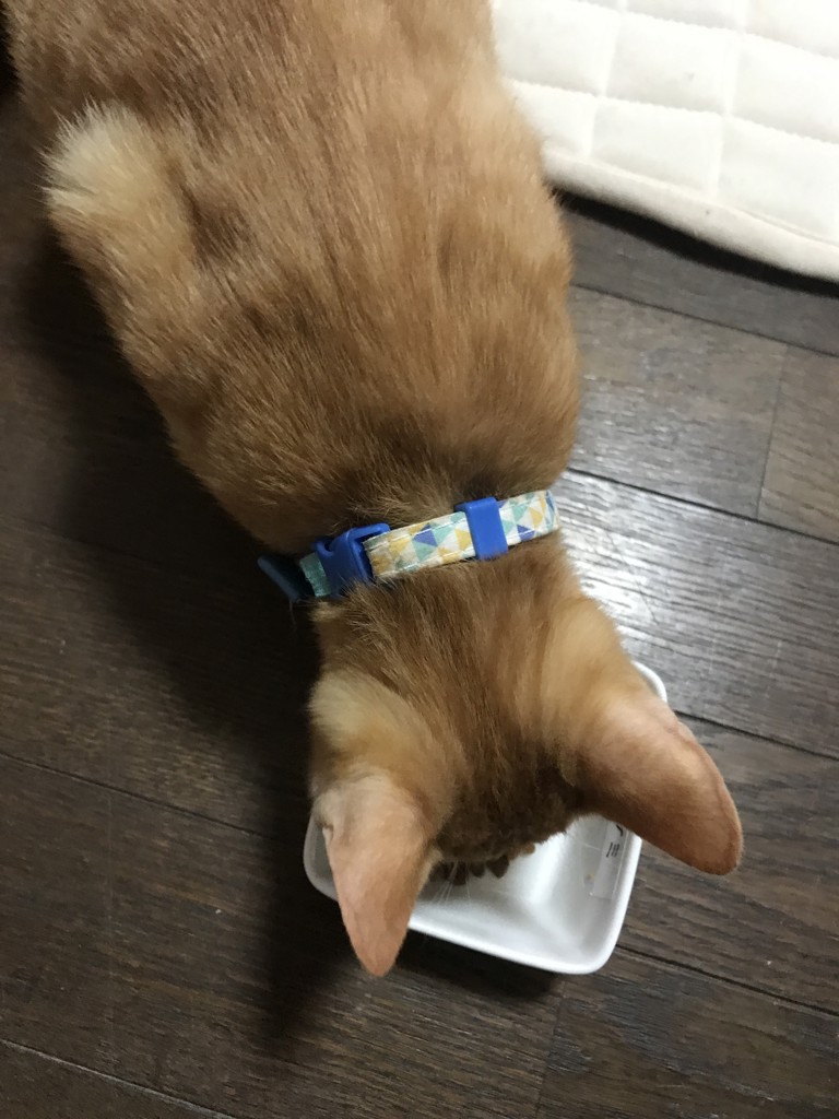 ユーザー写真