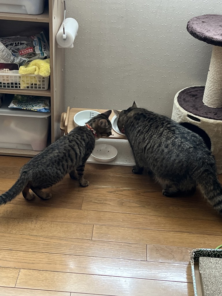 ユーザー写真