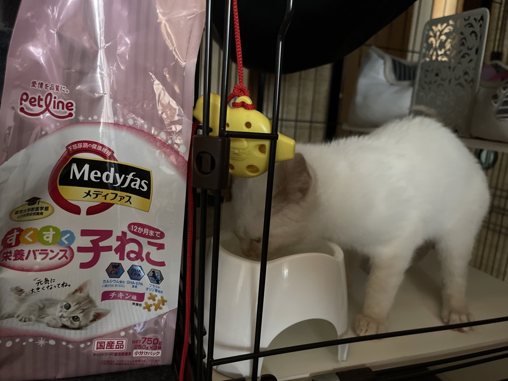 メディファス 子ねこ 12か月まで チキン味(750ｇ（250ｇ×3）): 猫