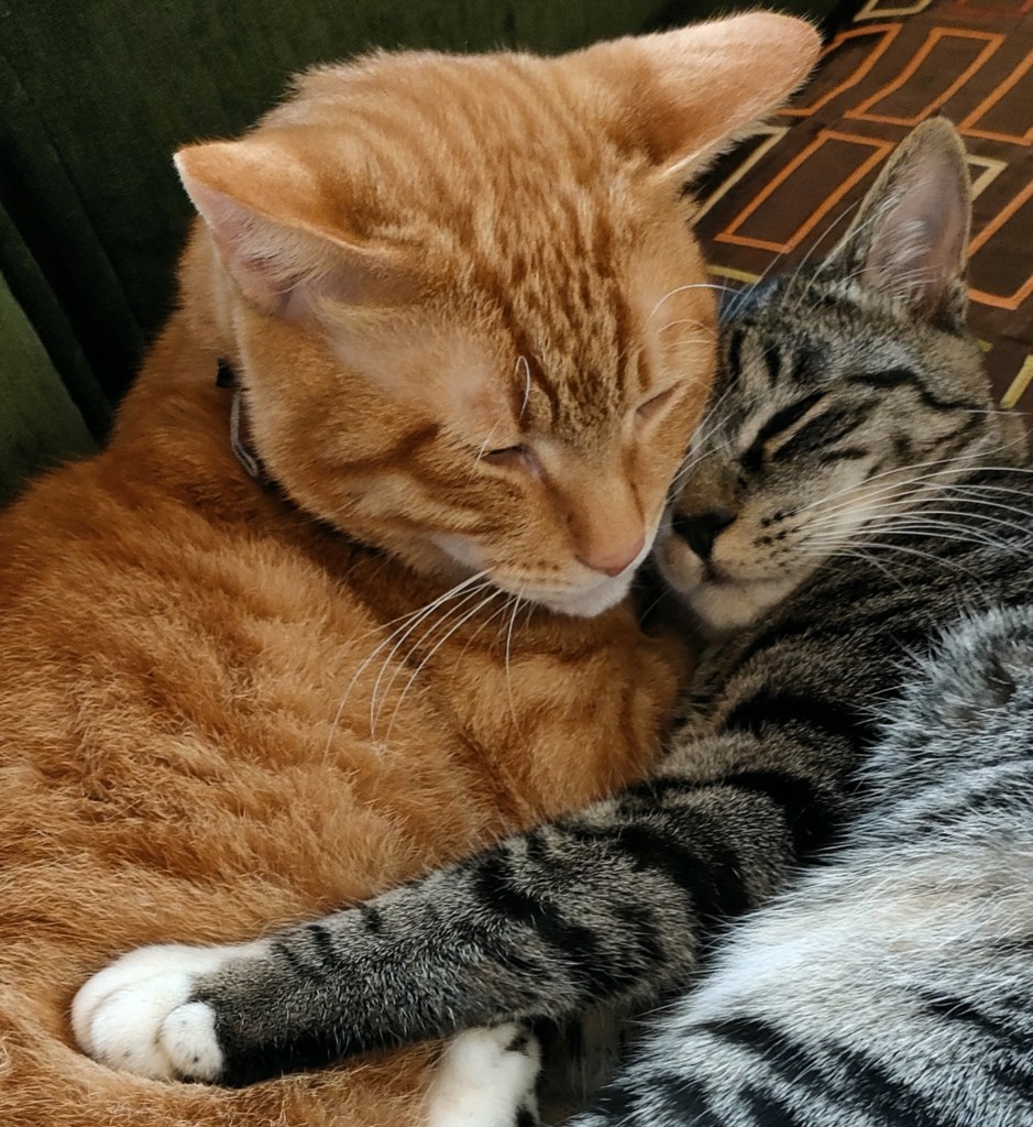 ユーザー写真