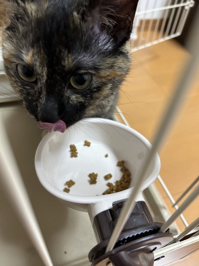 ユーザー写真