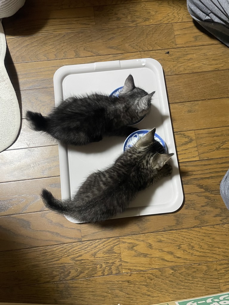 ユーザー写真