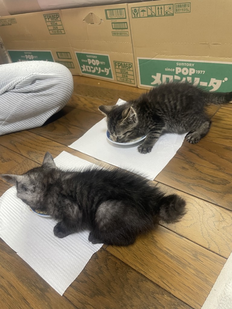 ユーザー写真