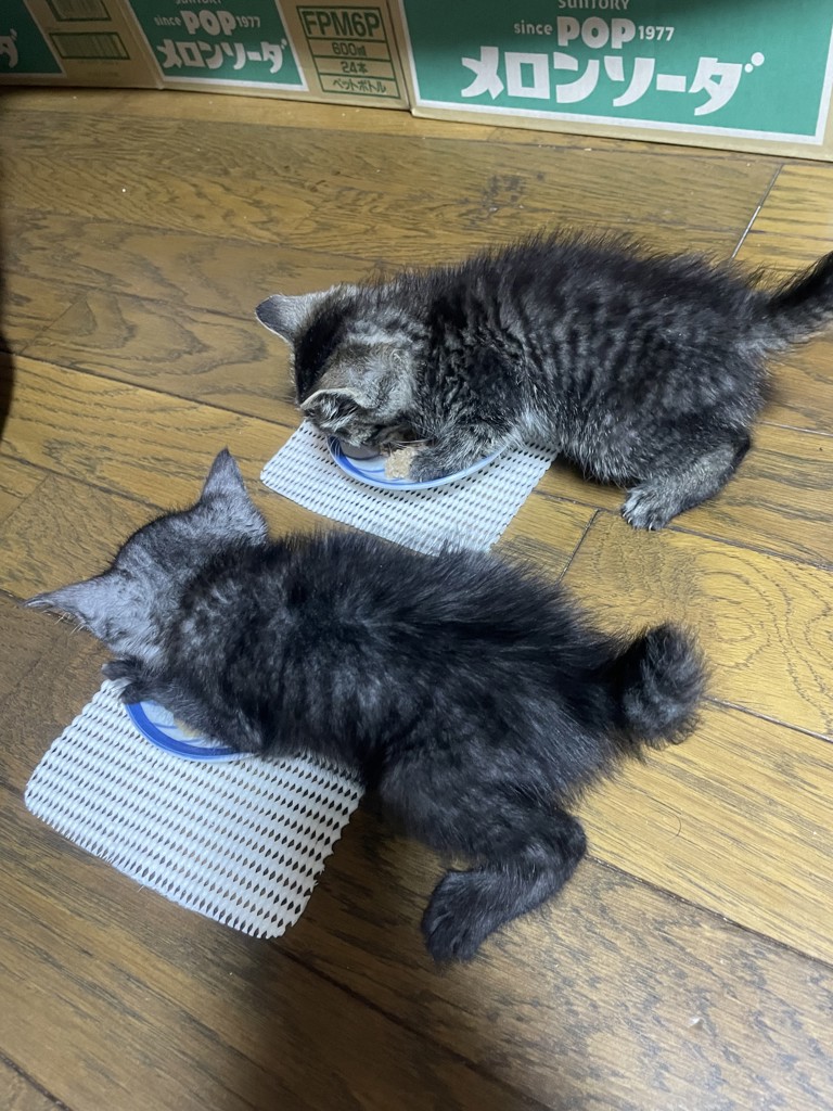 ユーザー写真