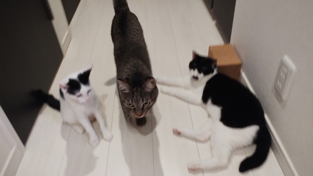 ユーザー写真