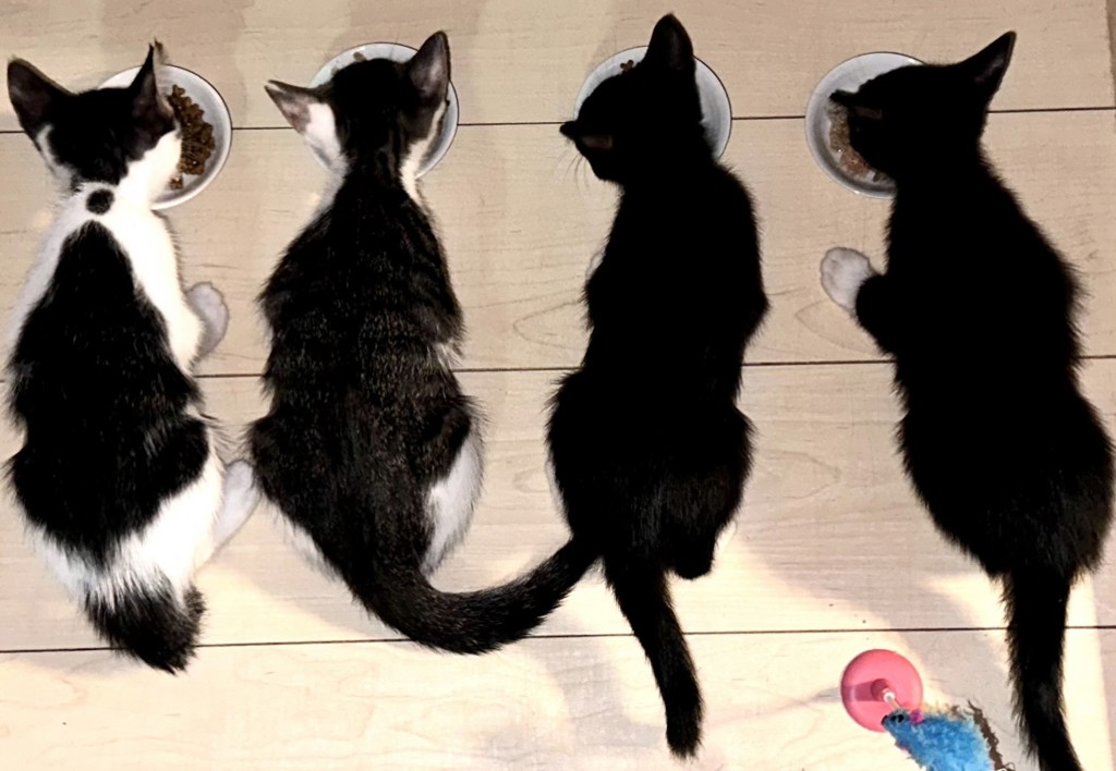 ユーザー写真