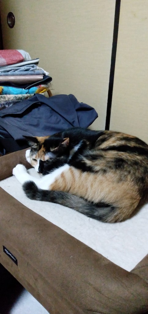 ユーザー写真