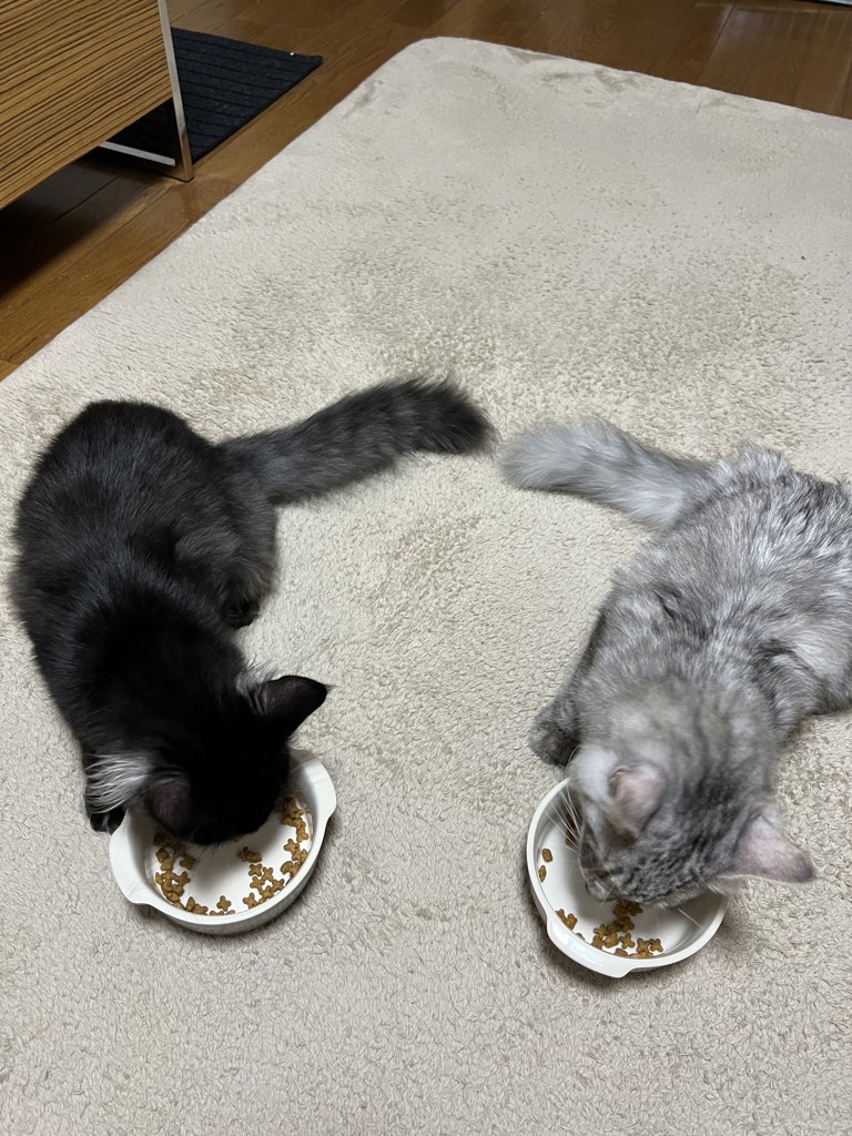 ユーザー写真