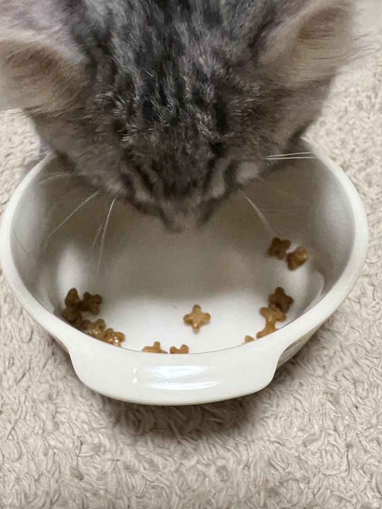 ユーザー写真