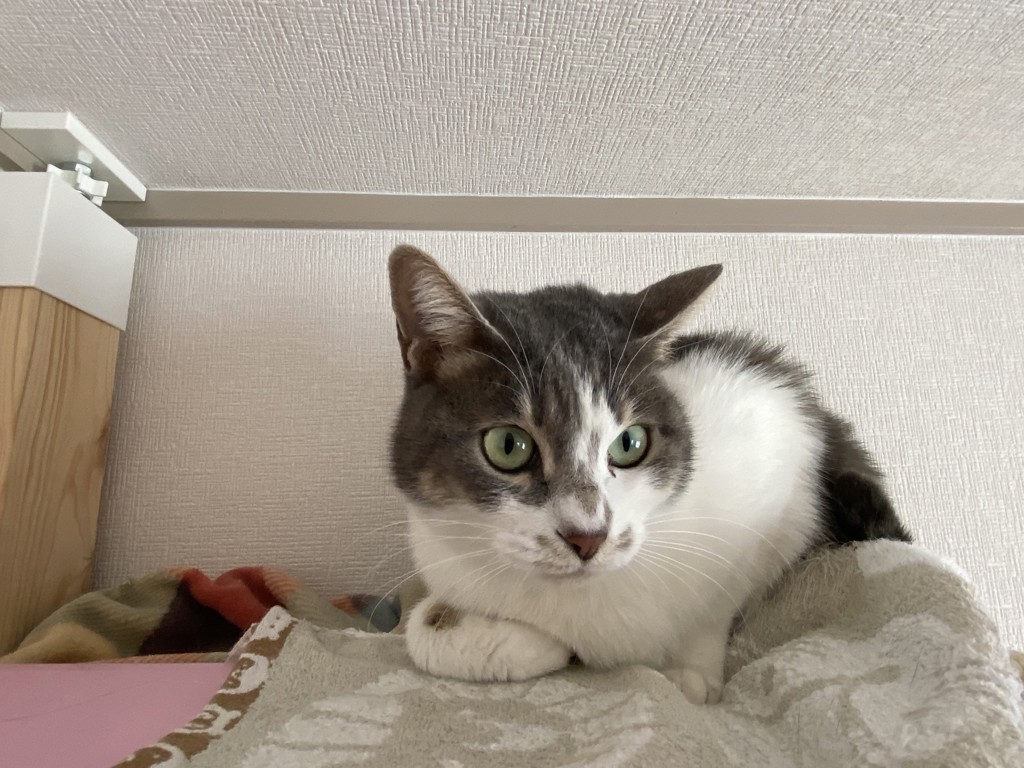 ユーザー写真