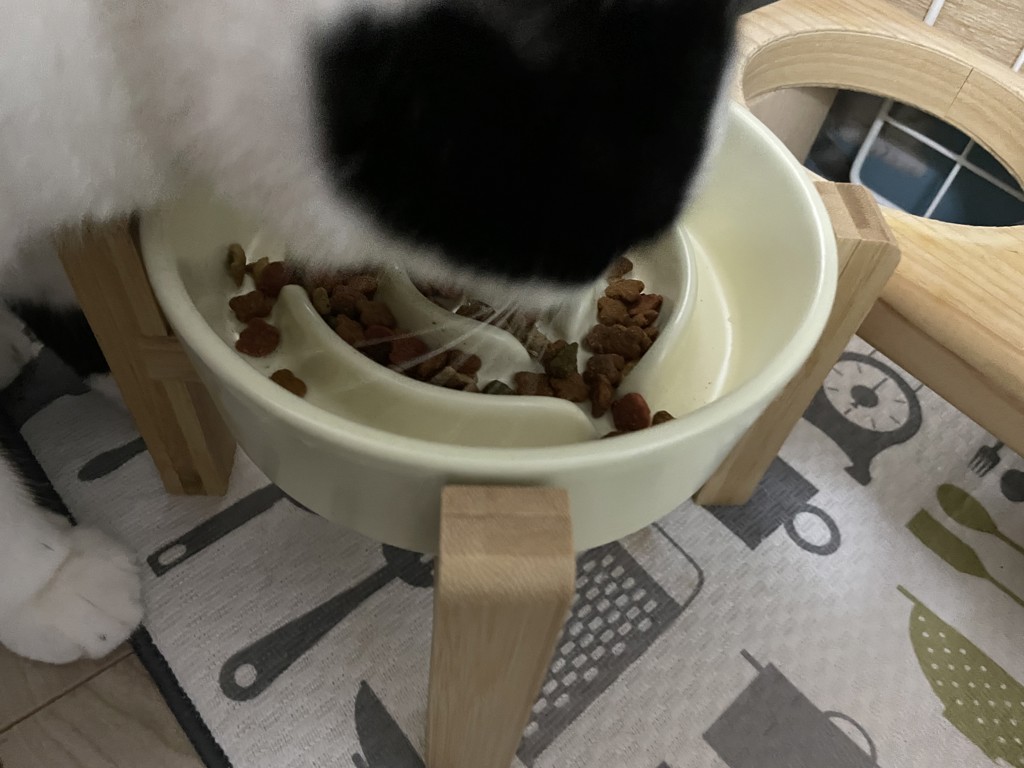 投稿写真