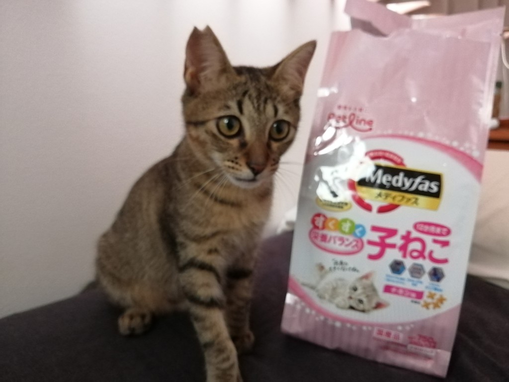 投稿写真