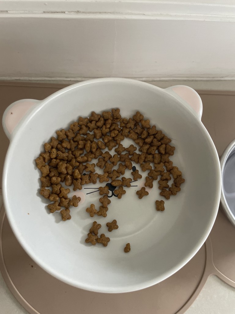 投稿写真