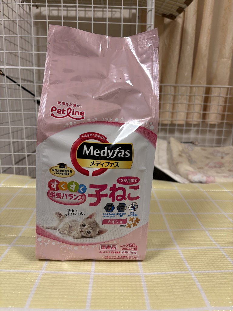 投稿写真