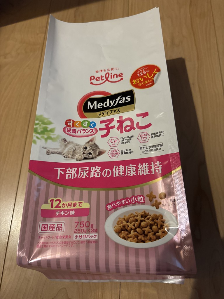投稿写真
