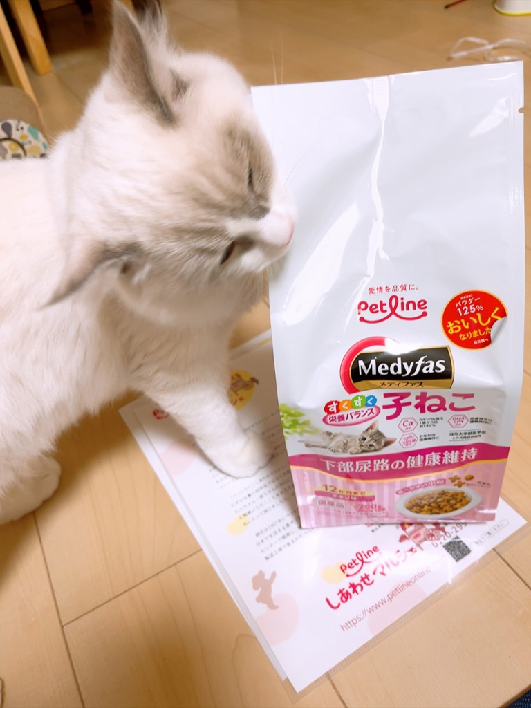 投稿写真