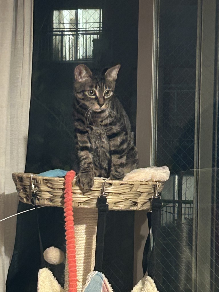 ユーザー写真