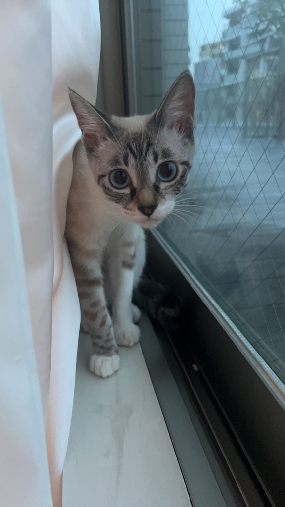 ユーザー写真
