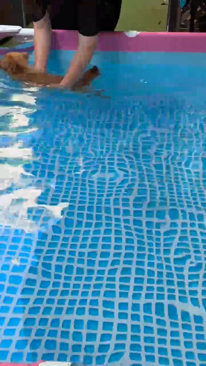 投稿写真