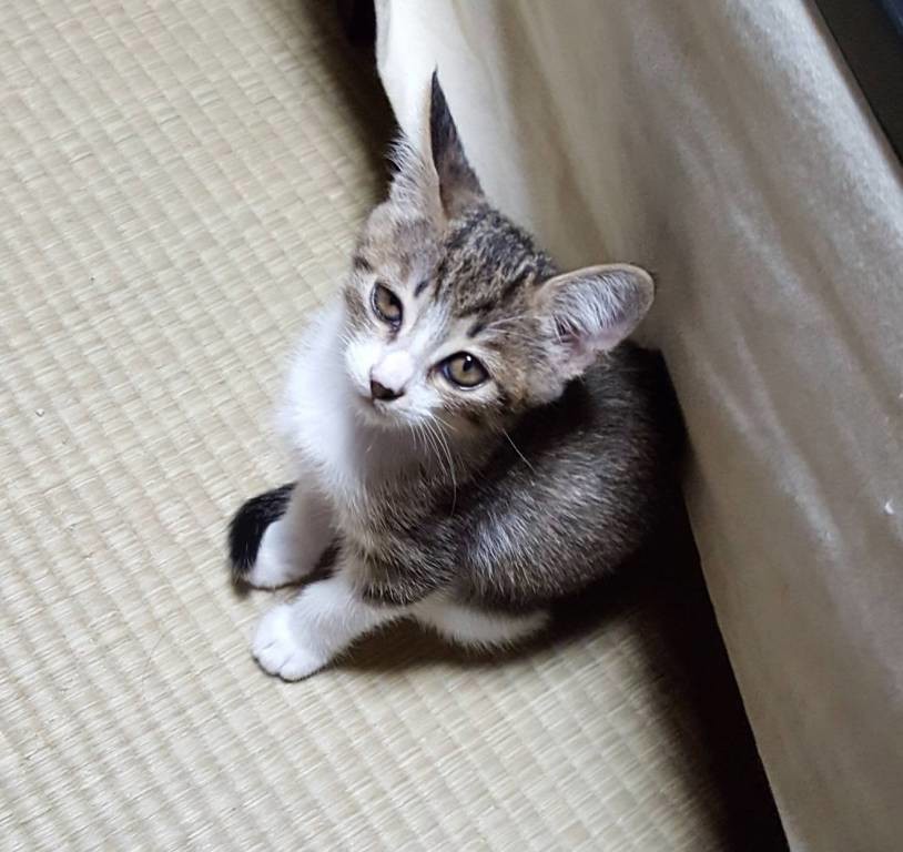 投稿写真