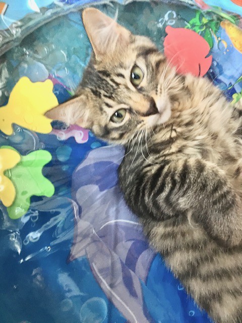 ユーザー写真
