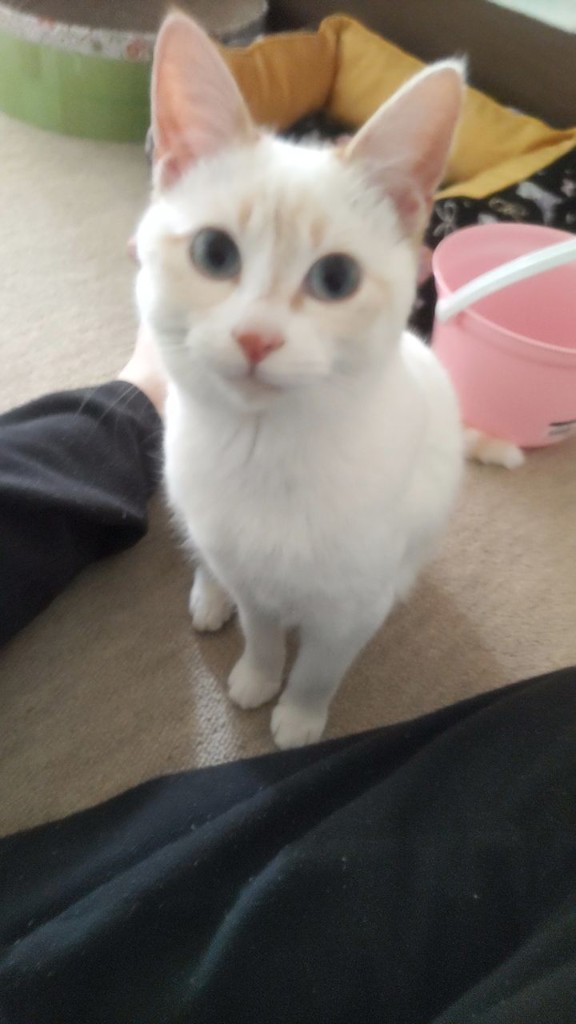 投稿写真
