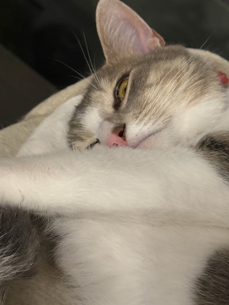 投稿写真