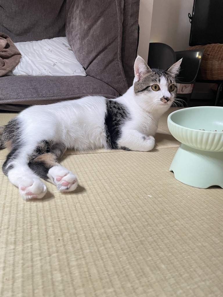 投稿写真