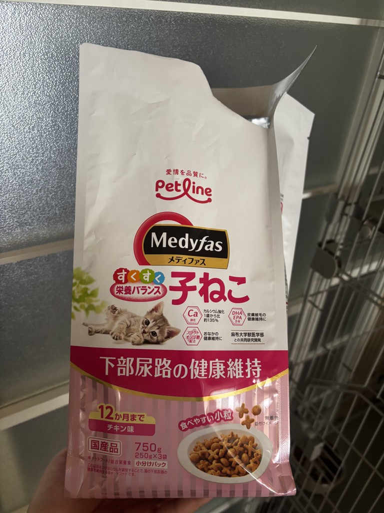 投稿写真