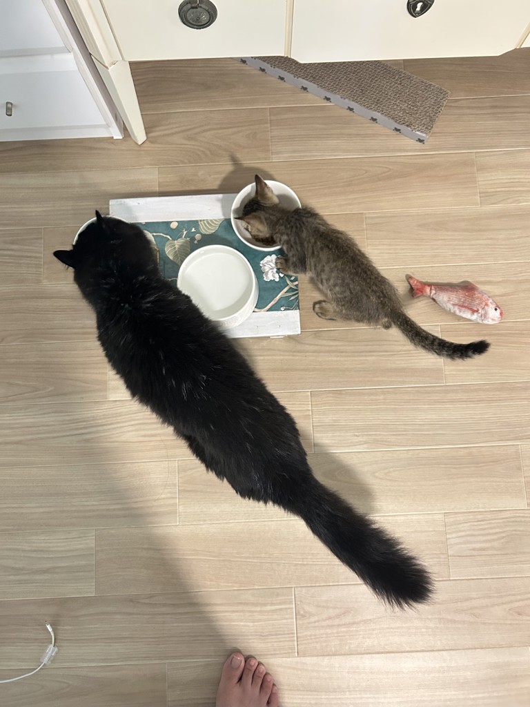 投稿写真