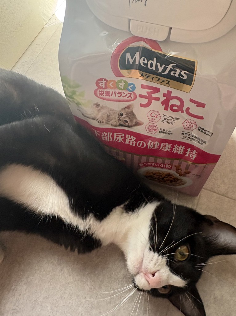 投稿写真