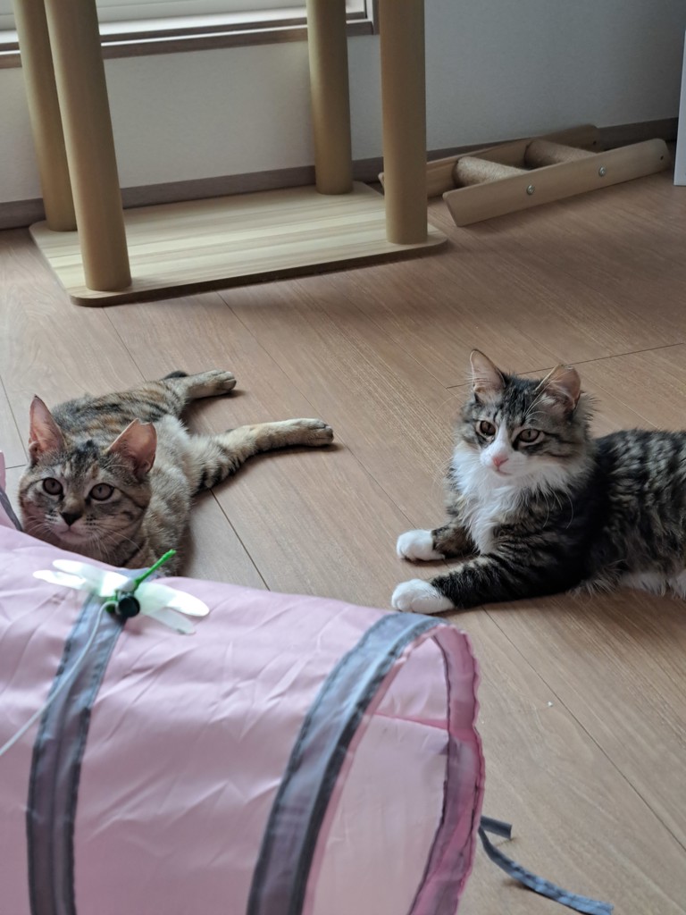投稿写真
