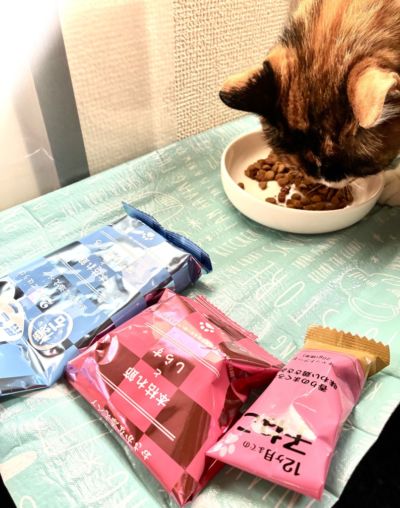 投稿写真