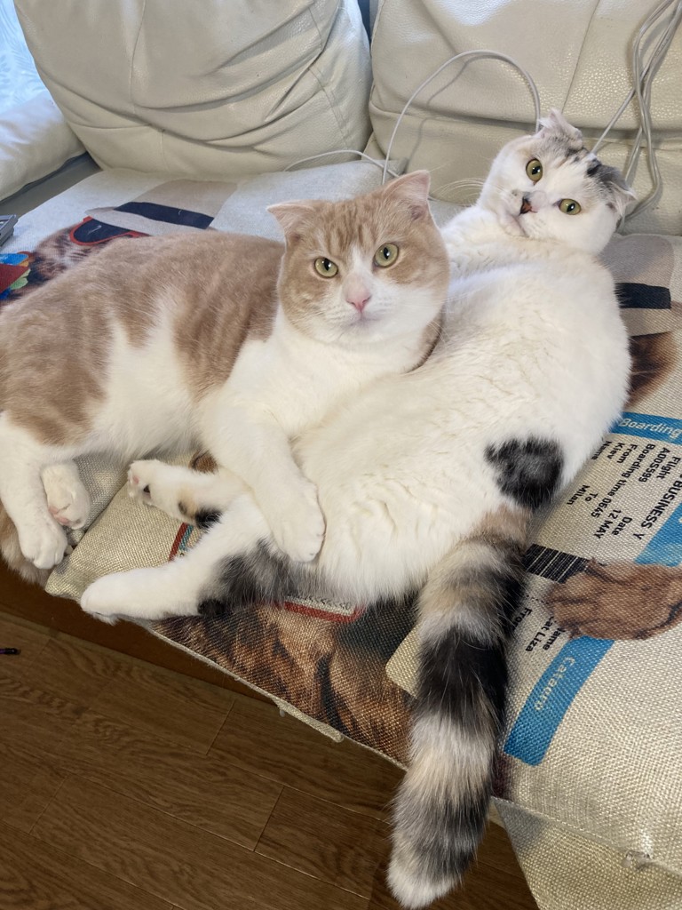 ユーザー写真