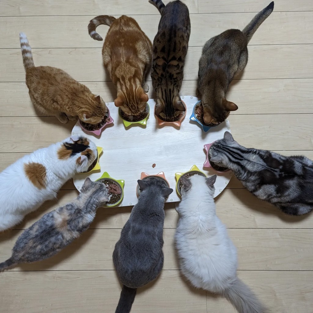 ユーザー写真