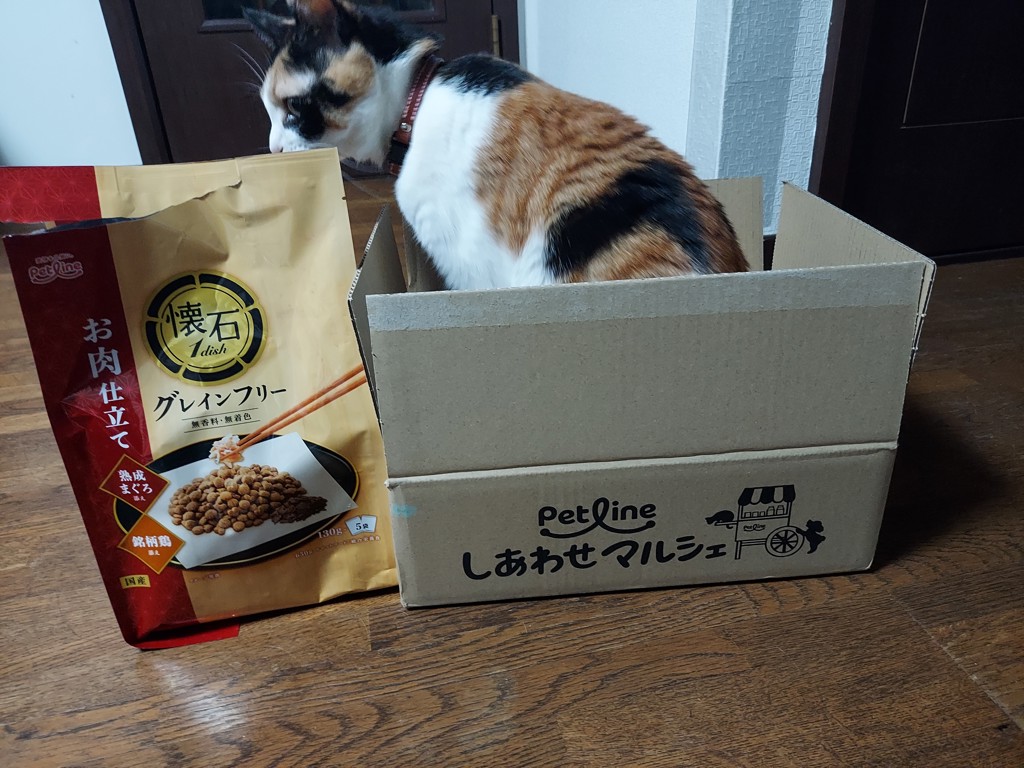 ユーザー写真