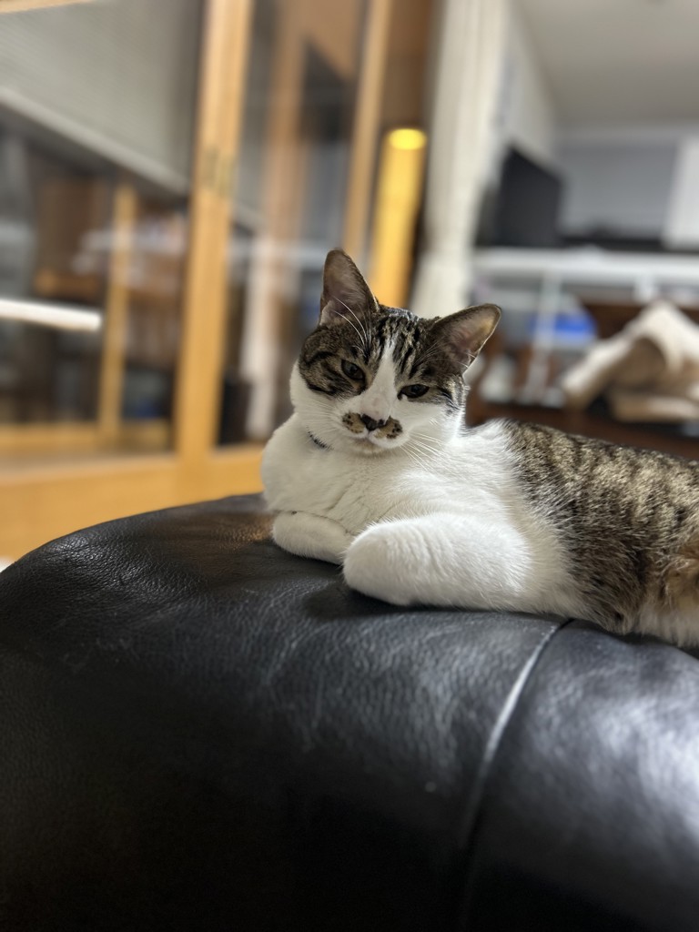 ユーザー写真