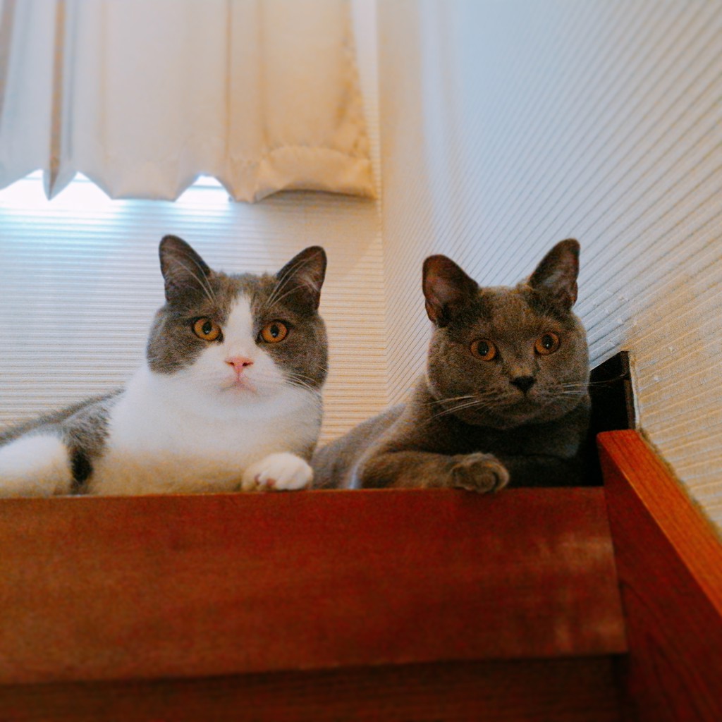 ユーザー写真