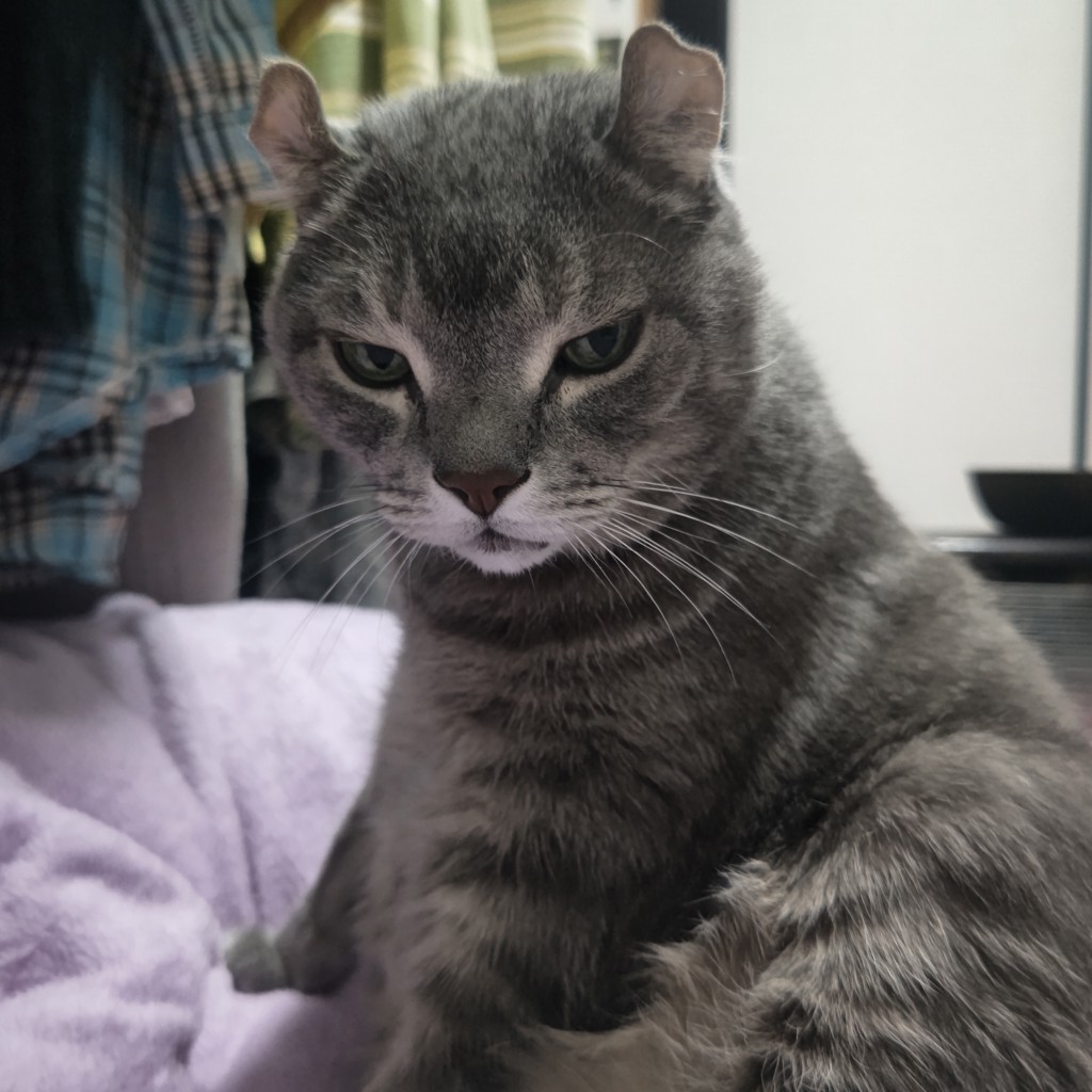 ユーザー写真