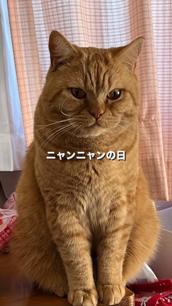 ユーザー写真