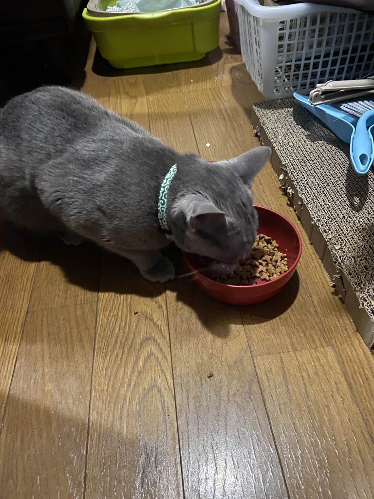 ユーザー写真