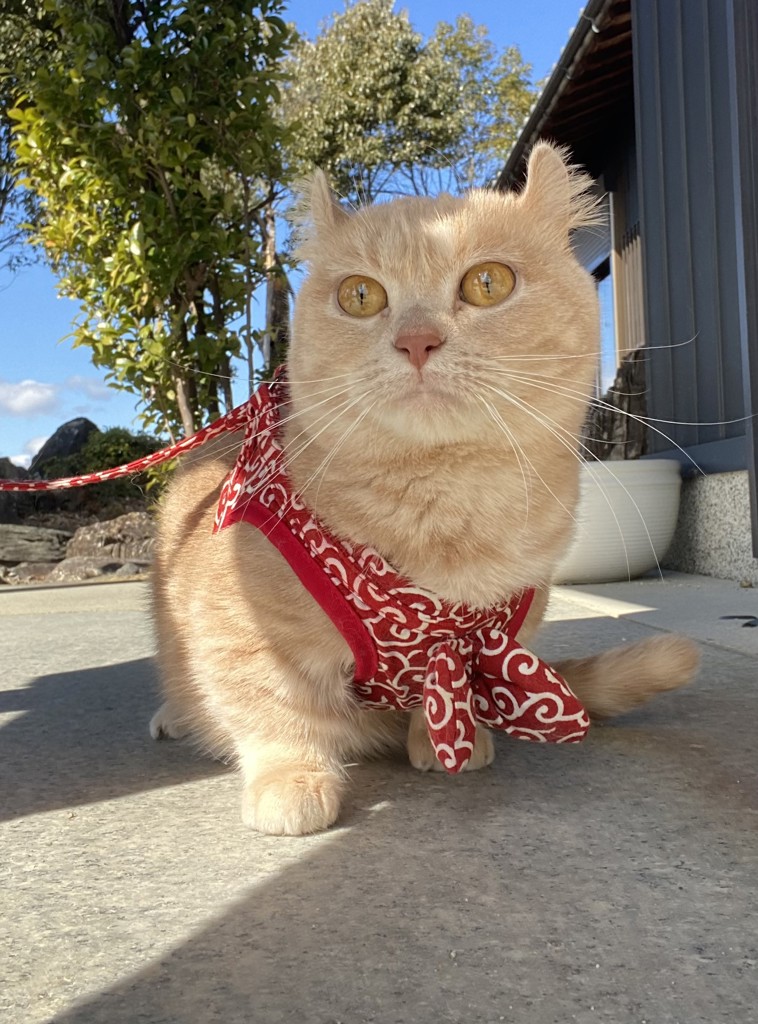 ユーザー写真