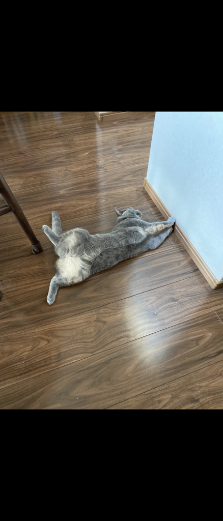 ユーザー写真