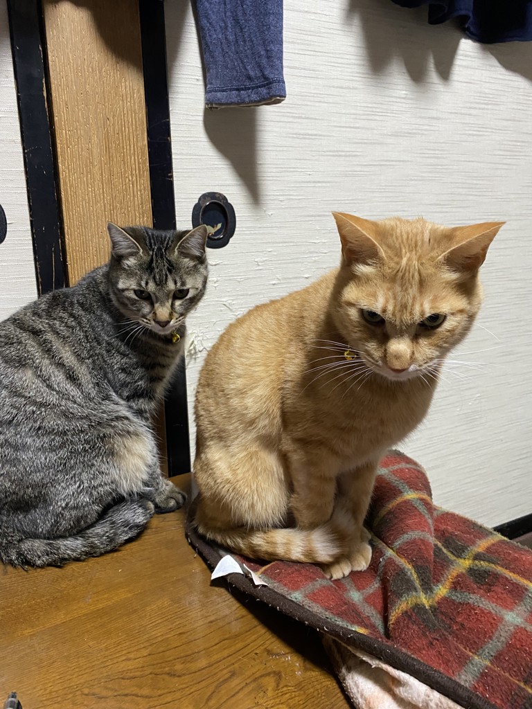 ユーザー写真